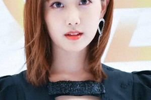 精选图片集锦：视觉盛宴一览无余