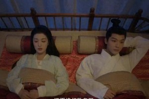 《柳舟记》首播口碑两极分化，张晚意王楚然主演引热议