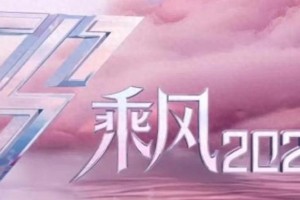《浪姐6》阵容曝光：歌手少C位难定，初心不再？