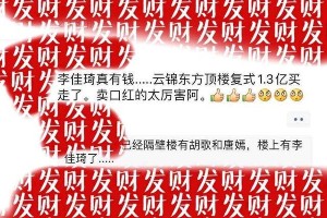 李佳琦1.3亿豪宅曝光，揭秘主播天价收入与奋斗史
