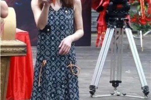 姚笛：从巅峰到谷底的演艺人生